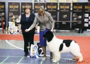 Превью фото № 246903