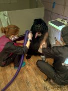 Превью фото № 246925