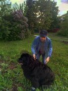 Превью фото № 246926