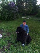 Превью фото № 246927