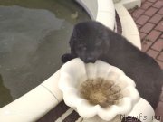 Превью фото № 246953