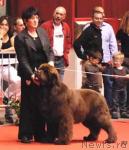 Превью фото № 24696