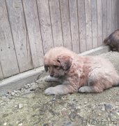 Превью фото № 246973