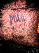 Превью фото № 246979