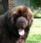 Превью фото № 24698