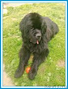 Превью фото № 246981