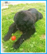 Превью фото № 246984