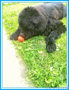 Превью фото № 246986