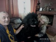 Превью фото № 246990