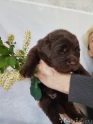 Превью фото № 246995