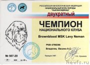 Превью фото № 247002