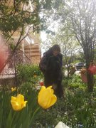 Превью фото № 247003