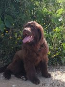 Превью фото № 247021