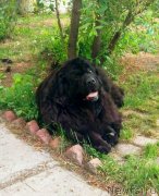 Превью фото № 247029