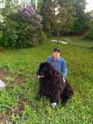 Превью фото № 247030