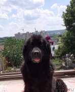 Превью фото № 247035