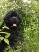 Превью фото № 247038