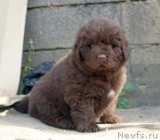 Превью фото № 247049