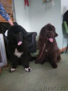 Превью фото № 247085