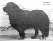 Превью фото № 247090