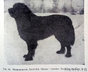 Превью фото № 247091