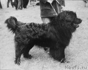 Превью фото № 247100