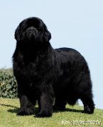 Превью фото № 247161