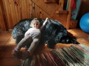 Превью фото № 247167