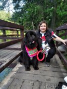 Превью фото № 247197