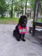 Превью фото № 247200