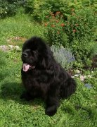 Превью фото № 247205