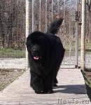 Превью фото № 24722