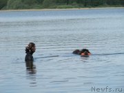 Превью фото № 247220