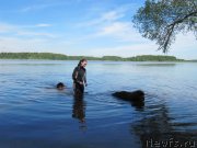 Превью фото № 247233