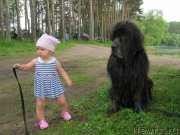 Превью фото № 247234