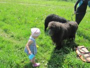 Превью фото № 247239