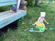 Превью фото № 247253