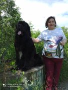 Превью фото № 247258