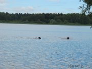 Превью фото № 247292