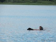 Превью фото № 247293