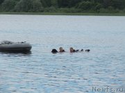 Превью фото № 247295