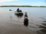 Превью фото № 247296