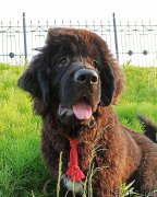 Превью фото № 247305