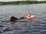 Превью фото № 247322