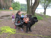 Превью фото № 247325