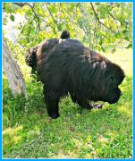 Превью фото № 247365