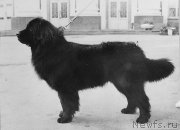 Превью фото № 247382