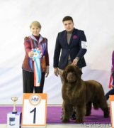 Превью фото № 247385