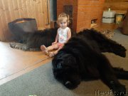 Превью фото № 247391