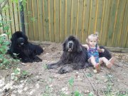 Превью фото № 247397